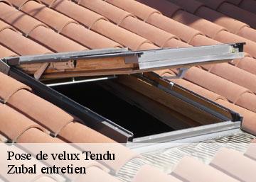 Pose de velux tendu-36200 Zubal entretien
