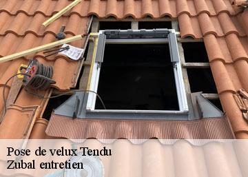 Pose de velux 36200