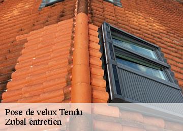 Pose de velux