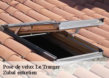 Pose de velux le-tranger-36700 Zubal entretien