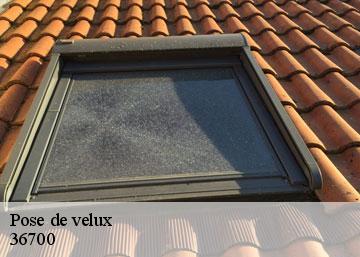 Pose de velux