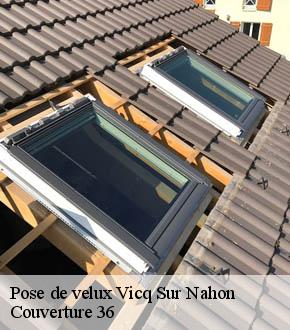 Pose de velux  vicq-sur-nahon-36600 Couverture 36