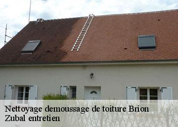 Nettoyage demoussage de toiture brion-36110 Zubal entretien