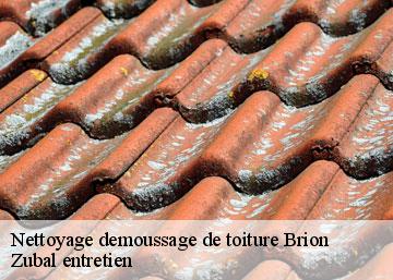 Nettoyage demoussage de toiture