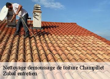 Nettoyage demoussage de toiture 36160