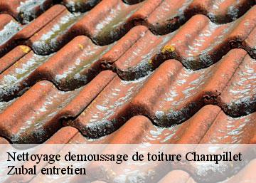 Nettoyage demoussage de toiture