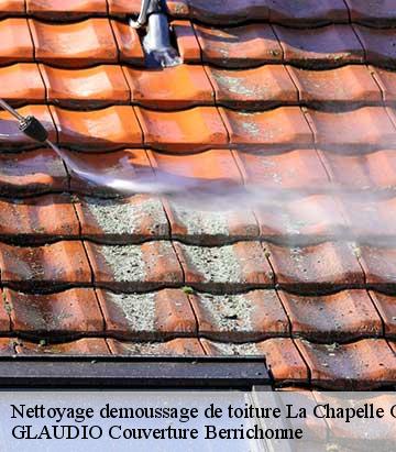 Nettoyage demoussage de toiture la-chapelle-orthemale-36500 GLAUDIO Couverture Berrichonne