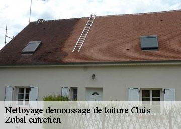 Nettoyage demoussage de toiture cluis-36340 Zubal entretien