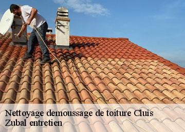Nettoyage demoussage de toiture 36340