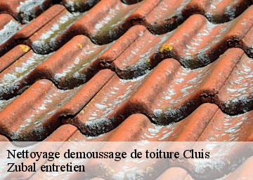 Nettoyage demoussage de toiture