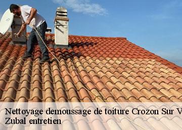 Nettoyage demoussage de toiture 36140