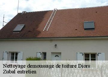 Nettoyage demoussage de toiture diors-36130 Zubal entretien