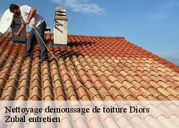 Nettoyage demoussage de toiture 36130