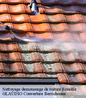 Nettoyage demoussage de toiture ecueille-36240 GLAUDIO Couverture Berrichonne