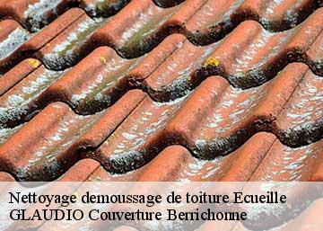 Nettoyage demoussage de toiture 36240