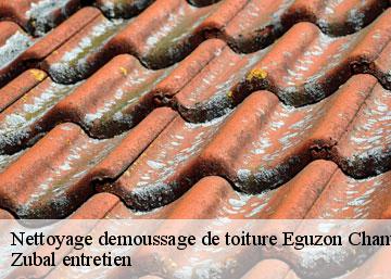 Nettoyage demoussage de toiture