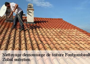 Nettoyage demoussage de toiture  36220