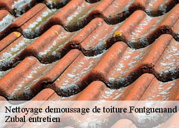 Nettoyage demoussage de toiture
