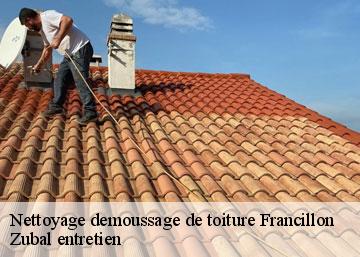 Nettoyage demoussage de toiture 36110