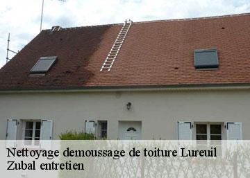 Nettoyage demoussage de toiture lureuil-36220 Zubal entretien