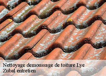 Nettoyage demoussage de toiture