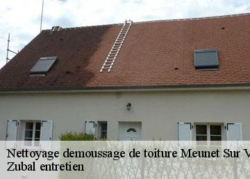 Nettoyage demoussage de toiture meunet-sur-vatan-36150 Zubal entretien