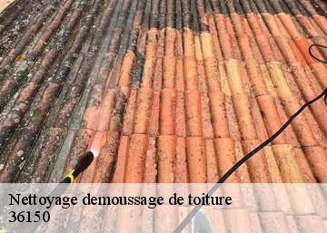 Nettoyage demoussage de toiture 36150