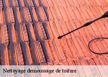 Nettoyage demoussage de toiture