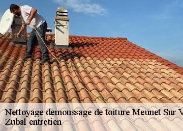 Nettoyage demoussage de toiture 36150