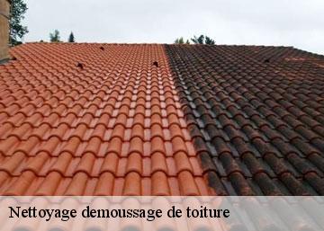 Nettoyage demoussage de toiture 36150