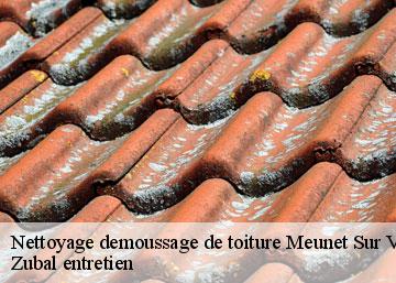 Nettoyage demoussage de toiture