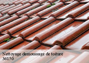 Nettoyage demoussage de toiture 36150
