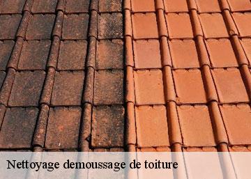 Nettoyage demoussage de toiture