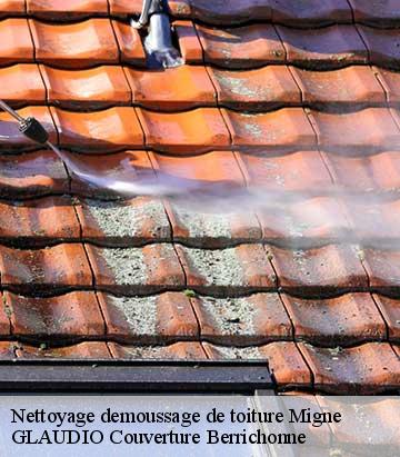 Nettoyage demoussage de toiture  migne-36800 Couverture 36