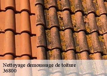 Nettoyage demoussage de toiture 36800