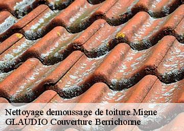 Nettoyage demoussage de toiture 36800