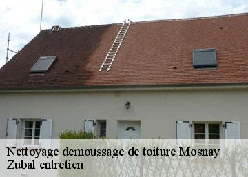 Nettoyage demoussage de toiture mosnay-36200 Zubal entretien