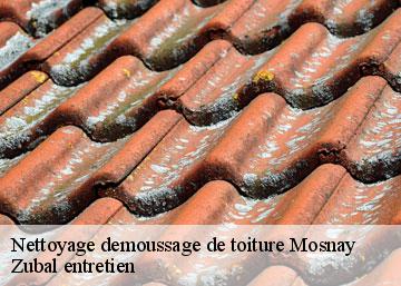 Nettoyage demoussage de toiture