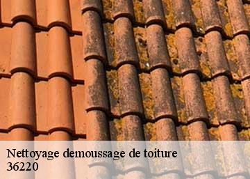 Nettoyage demoussage de toiture 36220
