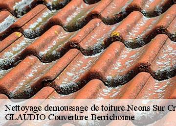 Nettoyage demoussage de toiture 36220