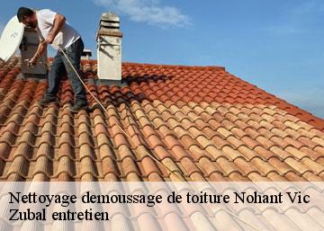 Nettoyage demoussage de toiture 36400