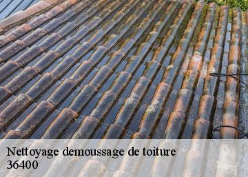 Nettoyage demoussage de toiture