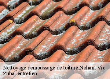 Nettoyage demoussage de toiture