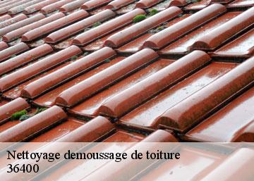 Nettoyage demoussage de toiture 36400