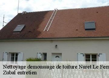 Nettoyage demoussage de toiture nuret-le-ferron-36800 Zubal entretien