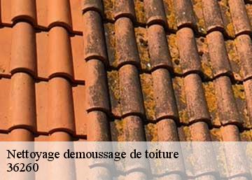 Nettoyage demoussage de toiture 36260