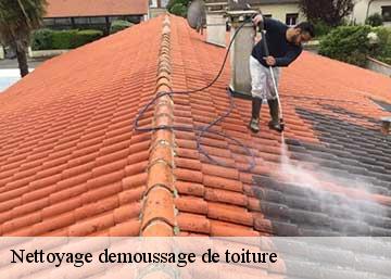 Nettoyage demoussage de toiture 36260