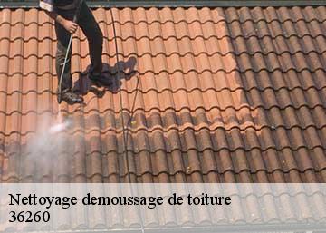 Nettoyage demoussage de toiture 36260