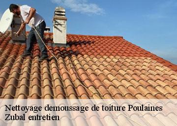 Nettoyage demoussage de toiture 36210