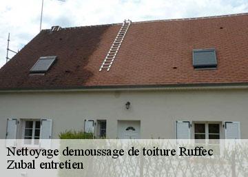 Nettoyage demoussage de toiture ruffec-36300